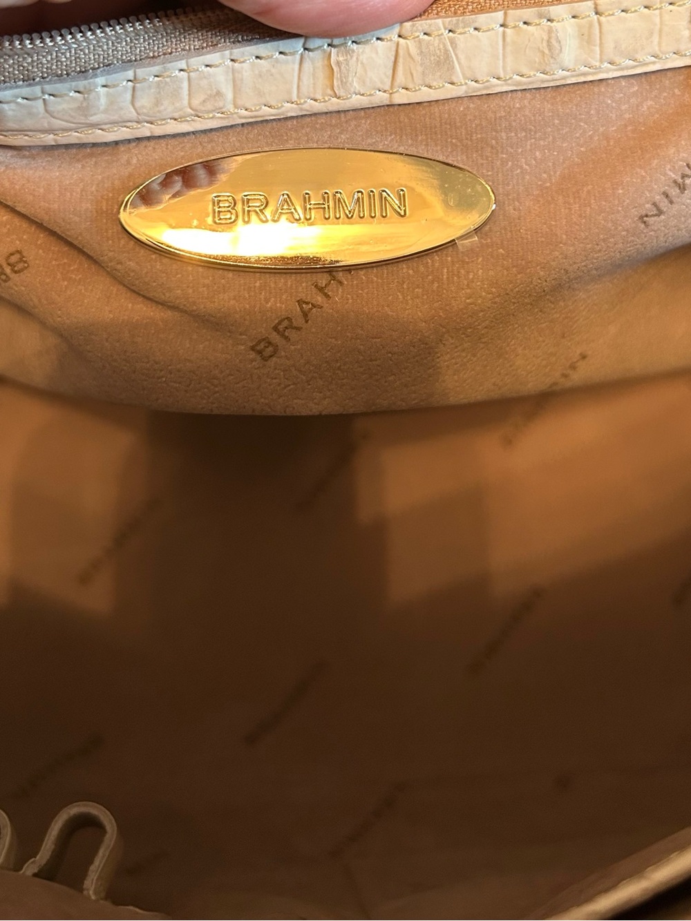 NWT Brahmin Vivian Satchel in Macaroon La Scala Embossed Leather - Picture 12 of 12